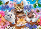 Котята в цветах Пазлы 500 деталей 